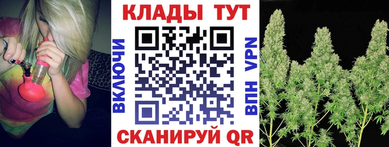 Где найти наркотики Кедровый ГАШ А ПВП Героин Каннабис COCAIN Меф Псилоцибиновые грибы