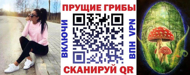 Псилоцибиновые грибы GOLDEN TEACHER  kraken ссылки  Кедровый  купить  цена 